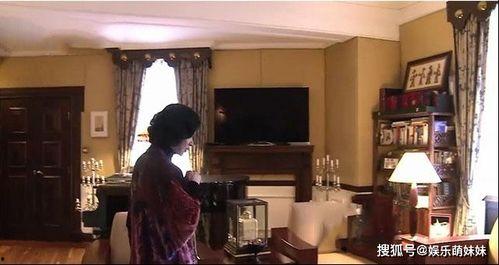 金星房子资料,探索金星独特居住环境与未来居住潜力